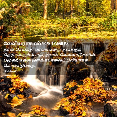 Picture 02 - லேவியராகமம் 4:23 TAMIRV - தான் செய்தது - Bible Verse Picture