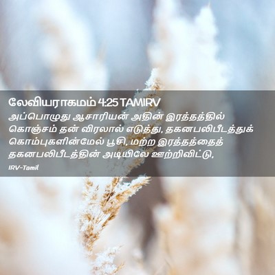 Picture 02 - லேவியராகமம் 4:25 TAMIRV - அப்பொழுது - Bible Verse Picture