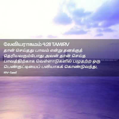 Picture 02 - லேவியராகமம் 4:28 TAMIRV - தான் செய்தது - Bible Verse Picture
