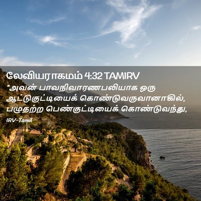 Picture 02 - லேவியராகமம் 4:32 TAMIRV - “அவன் - Bible Verse Picture