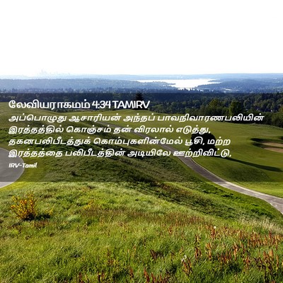 Picture 02 - லேவியராகமம் 4:34 TAMIRV - அப்பொழுது - Bible Verse Picture