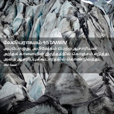 Picture 02 - லேவியராகமம் 4:5 TAMIRV - அப்பொழுது, - Bible Verse Picture