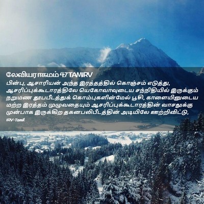 Picture 02 - லேவியராகமம் 4:7 TAMIRV - பின்பு, ஆசாரியன் - Bible Verse Picture