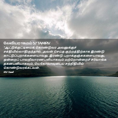 Picture 02 - லேவியராகமம் 5:7 TAMIRV -  - Bible Verse Picture