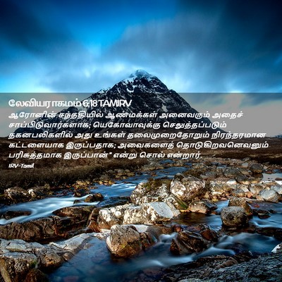 Picture 02 - லேவியராகமம் 6:18 TAMIRV - ஆரோனின் - Bible Verse Picture