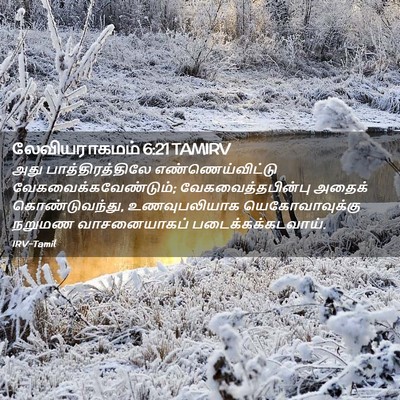 Picture 02 - லேவியராகமம் 6:21 TAMIRV - அது பாத்திரத்திலே - Bible Verse Picture