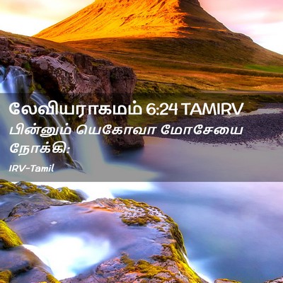Picture 02 - லேவியராகமம் 6:24 TAMIRV - பின்னும் யெகோவா - Bible Verse Picture