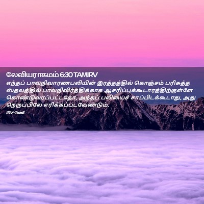 Picture 02 - லேவியராகமம் 6:30 TAMIRV - எந்தப் - Bible Verse Picture