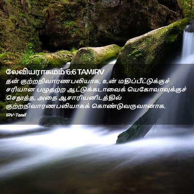 Picture 02 - லேவியராகமம் 6:6 TAMIRV - தன் - Bible Verse Picture