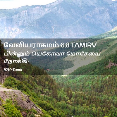 Picture 02 - லேவியராகமம் 6:8 TAMIRV - பின்னும் யெகோவா - Bible Verse Picture