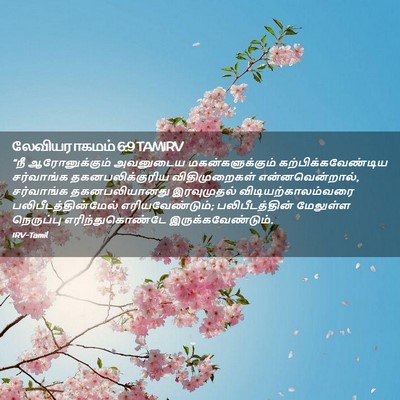 Picture 02 - லேவியராகமம் 6:9 TAMIRV - “நீ ஆரோனுக்கும் - Bible Verse Picture