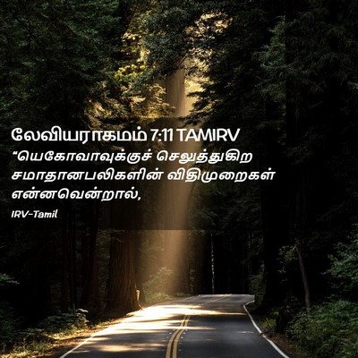 Picture 02 - லேவியராகமம் 7:11 TAMIRV - “யெகோவாவுக்குச் - Bible Verse Picture