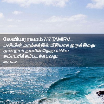 Picture 02 - லேவியராகமம் 7:17 TAMIRV - பலியின் - Bible Verse Picture