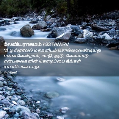 Picture 02 - லேவியராகமம் 7:23 TAMIRV - “நீ இஸ்ரவேல் - Bible Verse Picture