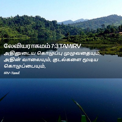 Picture 02 - லேவியராகமம் 7:3 TAMIRV - அதினுடைய கொழுப்பு - Bible Verse Picture