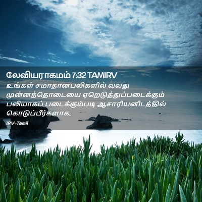 Picture 02 - லேவியராகமம் 7:32 TAMIRV - உங்கள் - Bible Verse Picture