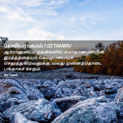 Picture 02 - லேவியராகமம் 7:33 TAMIRV - ஆரோனுடைய - Bible Verse Picture