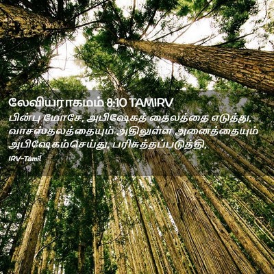 Picture 02 - லேவியராகமம் 8:10 TAMIRV - பின்பு மோசே, - Bible Verse Picture