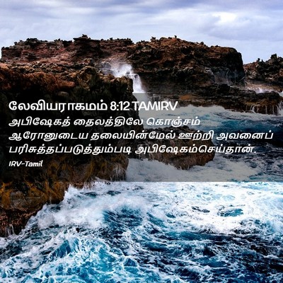 Picture 02 - லேவியராகமம் 8:12 TAMIRV - அபிஷேகத் - Bible Verse Picture