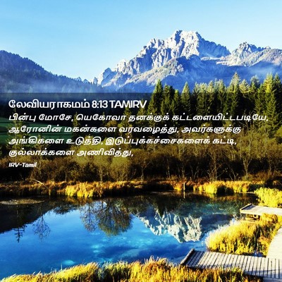 Picture 02 - லேவியராகமம் 8:13 TAMIRV - பின்பு மோசே, - Bible Verse Picture