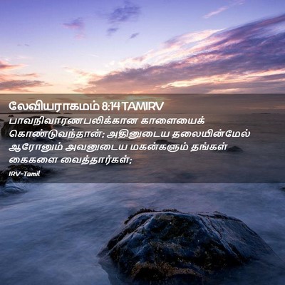 Picture 02 - லேவியராகமம் 8:14 TAMIRV -  - Bible Verse Picture