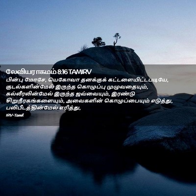 Picture 02 - லேவியராகமம் 8:16 TAMIRV - பின்பு மோசே, - Bible Verse Picture