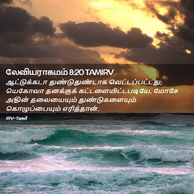 Picture 02 - லேவியராகமம் 8:20 TAMIRV - ஆட்டுக்கடா - Bible Verse Picture