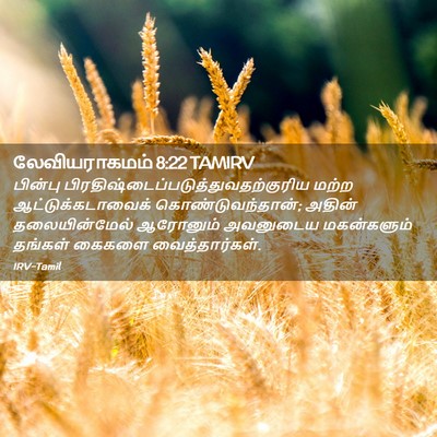 Picture 02 - லேவியராகமம் 8:22 TAMIRV - பின்பு - Bible Verse Picture