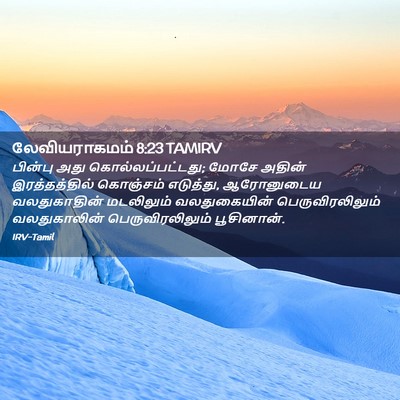 Picture 02 - லேவியராகமம் 8:23 TAMIRV - பின்பு அது - Bible Verse Picture