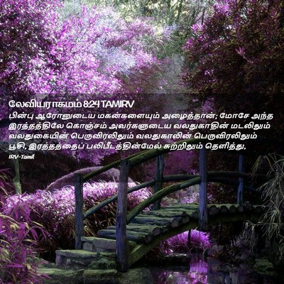 Picture 02 - லேவியராகமம் 8:24 TAMIRV - பின்பு ஆரோனுடைய - Bible Verse Picture