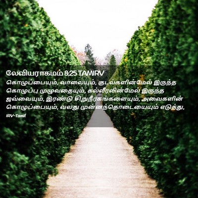 Picture 02 - லேவியராகமம் 8:25 TAMIRV - கொழுப்பையும், - Bible Verse Picture