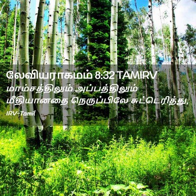 Picture 02 - லேவியராகமம் 8:32 TAMIRV - மாம்சத்திலும் - Bible Verse Picture