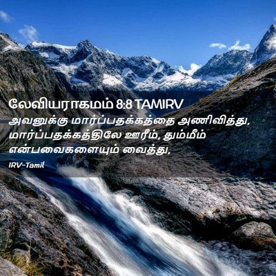 Picture 02 - லேவியராகமம் 8:8 TAMIRV - அவனுக்கு - Bible Verse Picture