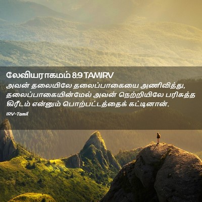 Picture 02 - லேவியராகமம் 8:9 TAMIRV - அவன் தலையிலே - Bible Verse Picture