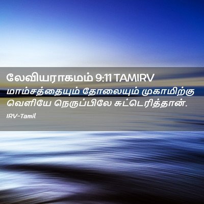 Picture 02 - லேவியராகமம் 9:11 TAMIRV - மாம்சத்தையும் - Bible Verse Picture