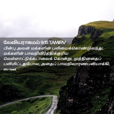 Picture 02 - லேவியராகமம் 9:15 TAMIRV - பின்பு அவன் - Bible Verse Picture