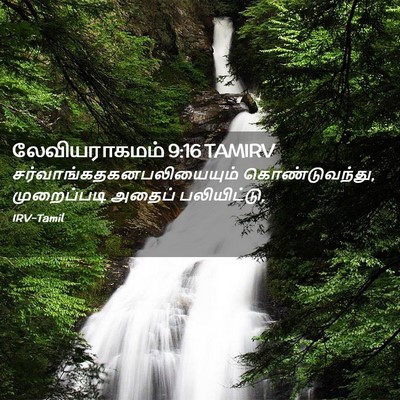 Picture 02 - லேவியராகமம் 9:16 TAMIRV -  - Bible Verse Picture