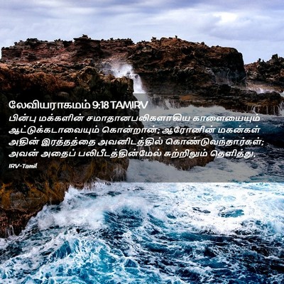 Picture 02 - லேவியராகமம் 9:18 TAMIRV - பின்பு மக்களின் - Bible Verse Picture