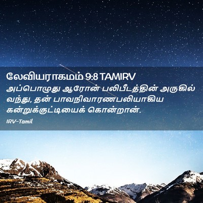 Picture 02 - லேவியராகமம் 9:8 TAMIRV - அப்பொழுது ஆரோன் - Bible Verse Picture
