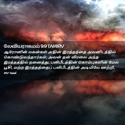 Picture 02 - லேவியராகமம் 9:9 TAMIRV - ஆரோனின் மகன்கள் - Bible Verse Picture