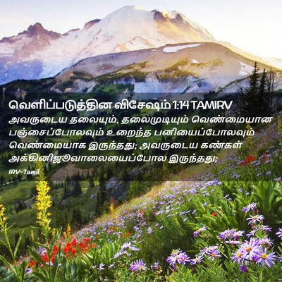 Picture 02 - வெளிப்படுத்தின விசேஷம் 1:14 TAMIRV - அவருடைய தலையும், - Bible Verse Picture