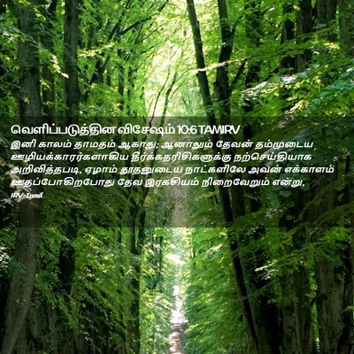 Picture 02 - வெளிப்படுத்தின விசேஷம் 10:6 TAMIRV - இனி காலம் தாமதம் - Bible Verse Picture