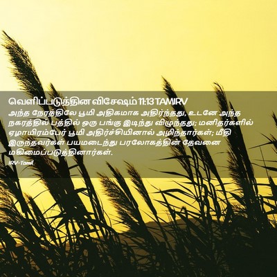 Picture 02 - வெளிப்படுத்தின விசேஷம் 11:13 TAMIRV - அந்த நேரத்திலே - Bible Verse Picture