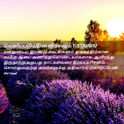 Picture 02 - வெளிப்படுத்தின விசேஷம் 11:3 TAMIRV - என்னுடைய இரண்டு - Bible Verse Picture