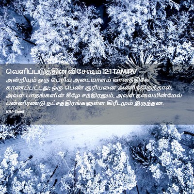 Picture 02 - வெளிப்படுத்தின விசேஷம் 12:1 TAMIRV - அன்றியும் ஒரு - Bible Verse Picture