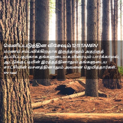 Picture 02 - வெளிப்படுத்தின விசேஷம் 12:11 TAMIRV - மரணம் - Bible Verse Picture