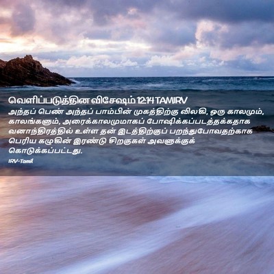 Picture 02 - வெளிப்படுத்தின விசேஷம் 12:14 TAMIRV - அந்தப் பெண் - Bible Verse Picture