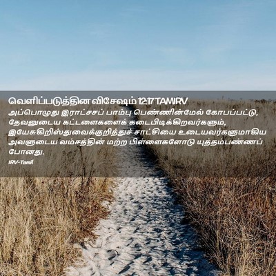 Picture 02 - வெளிப்படுத்தின விசேஷம் 12:17 TAMIRV - அப்பொழுது - Bible Verse Picture