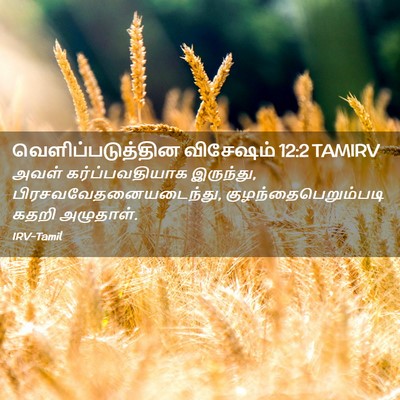 Picture 02 - வெளிப்படுத்தின விசேஷம் 12:2 TAMIRV - அவள் கர்ப்பவதியாக - Bible Verse Picture
