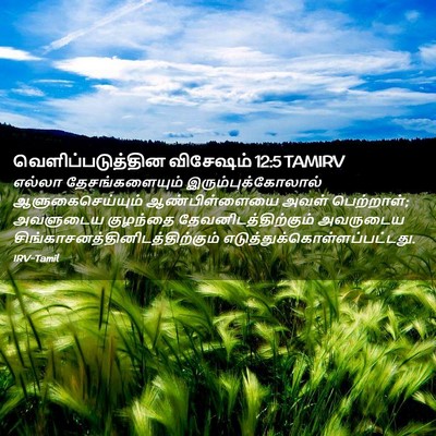 Picture 02 - வெளிப்படுத்தின விசேஷம் 12:5 TAMIRV - எல்லா - Bible Verse Picture